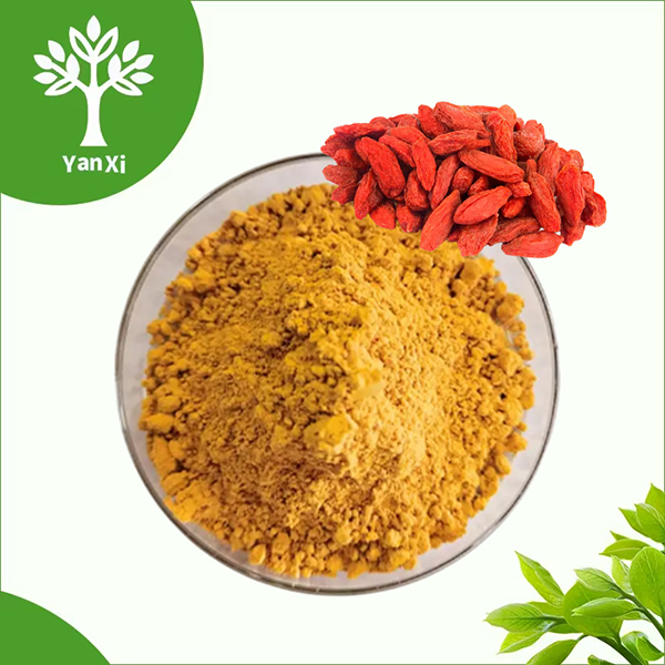 Goji Berry Powder Bulk Goji Berry Powder Bulk